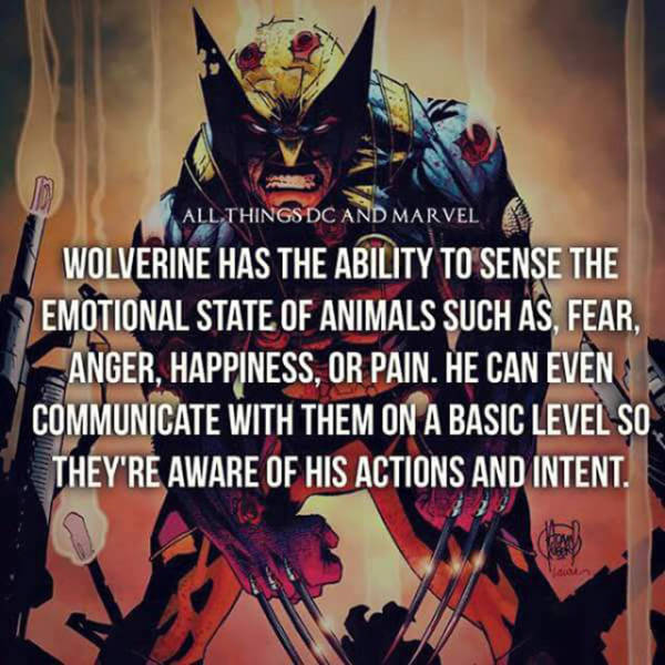 Fun Facts About Your Favorite Marvel And DC Characters (25 pics)