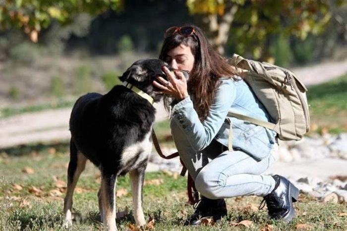 Dog With Face Of Stone Gets A New Home And A New Life (8 pics)