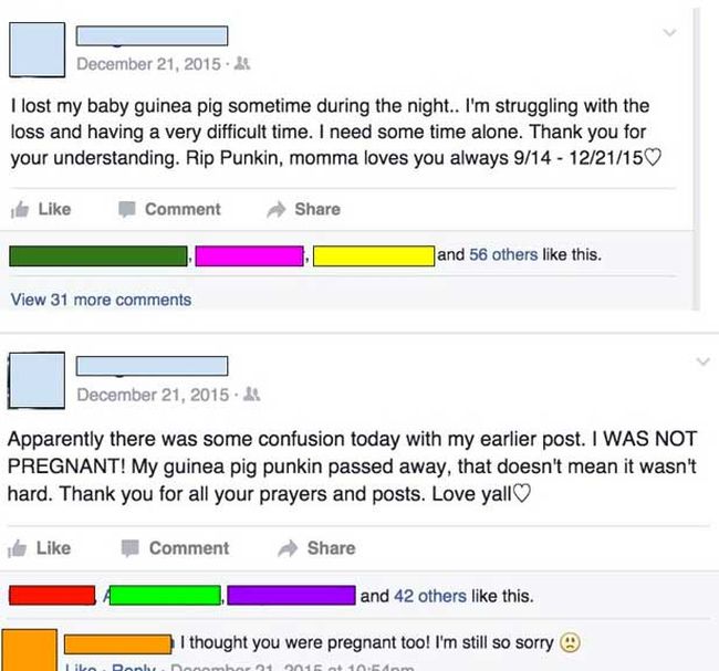 It's The Idiotic People That Make Facebook Worth Using (13 pics)
