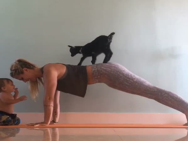 Yoga Girl Morning Yoga With Goat Baby And Baby