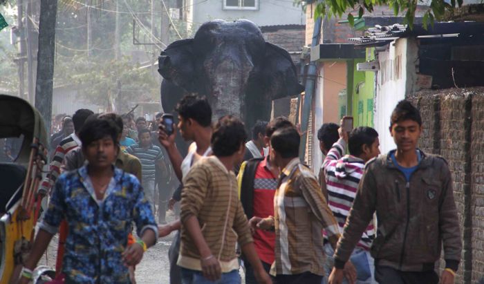 Wild Elephant Marches Through The Streets Of India (6 pics)