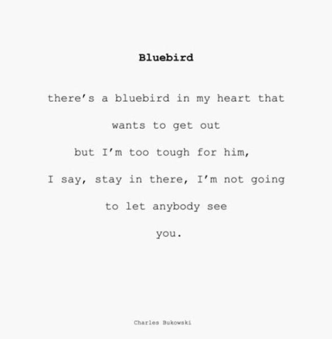 A Tribute To The Awesome Words And Work Of Charles Bukowski (18 pics)