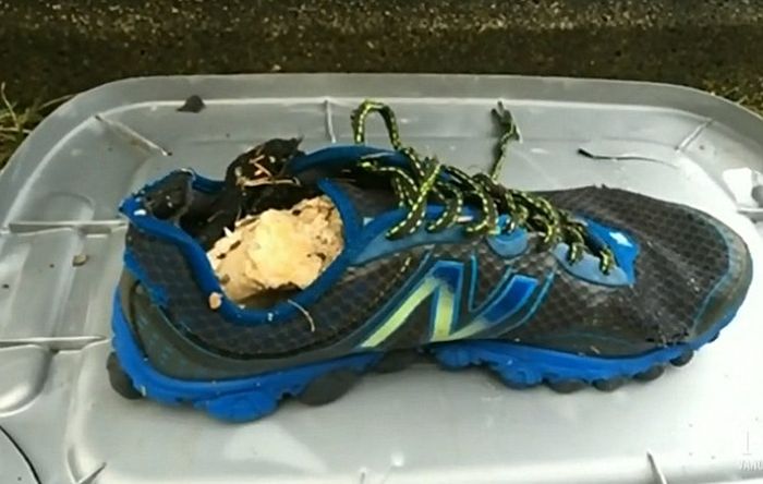 Creepy Shoes With Severed Feet Keep Appearing In The Pacific Northwest (3 pics)