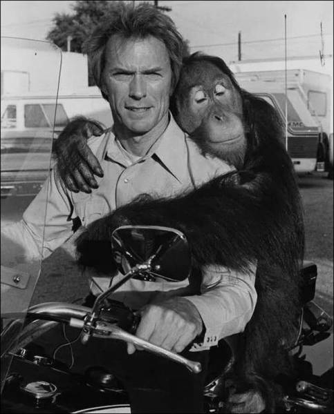 Acid Picdump (98 pics)