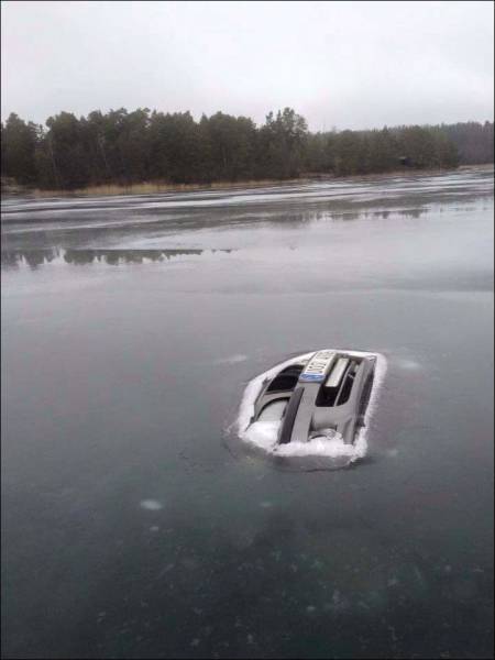 Acid Picdump (98 pics)