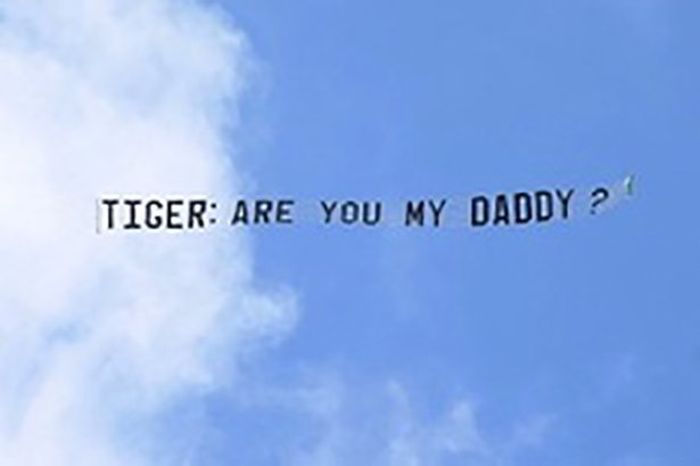 Signs That Stole The Show At Sports Games (26 pics)