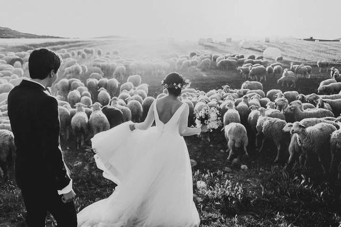 Incredible Wedding Pictures From The Year That Was 2015 (34 pics)