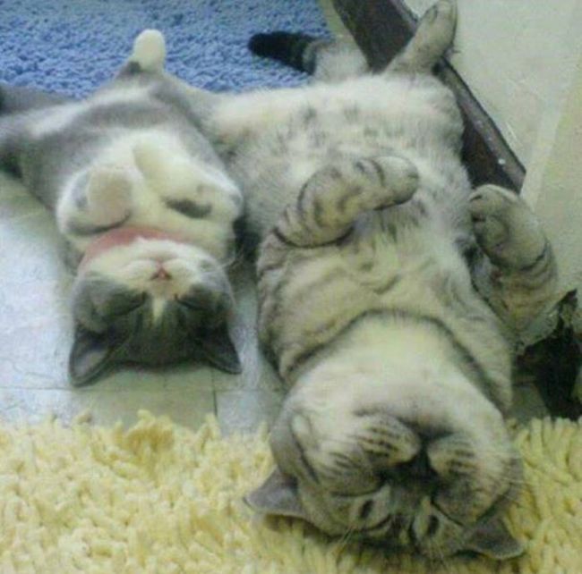 There's A Reason Why They Say Like Father, Like Son (44 pics)