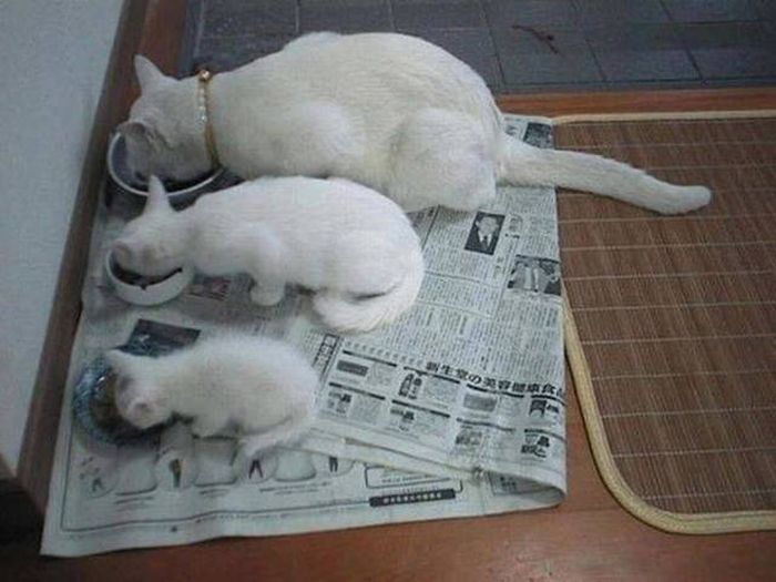 There's A Reason Why They Say Like Father, Like Son (44 pics)