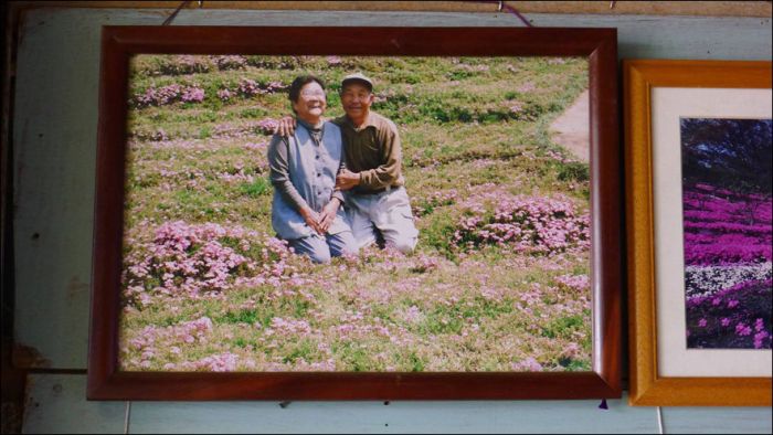 Chinese Man Creates Giant Flower Garden For His Blind Wife (9 pics)