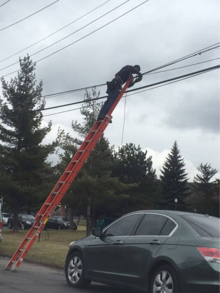 Work Fails & Job LOLs. Part 60 (45 pics)