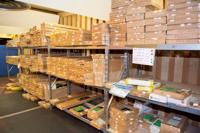Police Find Huge Arsenal Belonging To A Parish Council Chairman (12 pics)