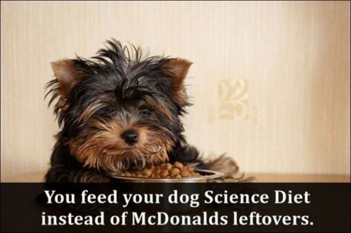 All The Ways Your Life Changes When You Become An Adult (23 pics)