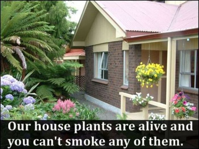 All The Ways Your Life Changes When You Become An Adult (23 pics)