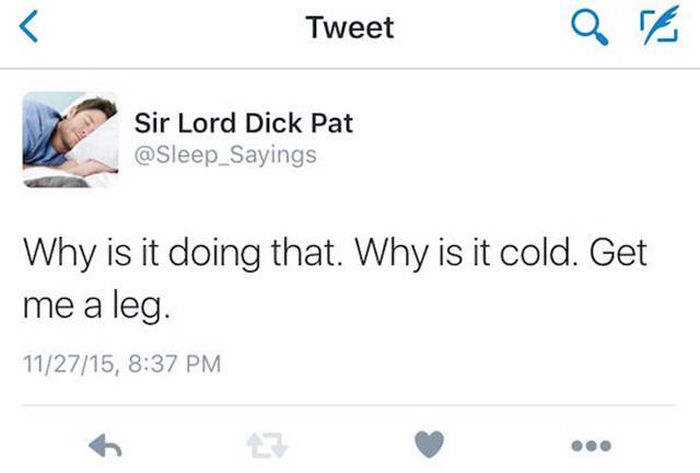 Girlfriend Shares The Funny Things Her Boyfriend Says In His Sleep On Twitter (18 pics)