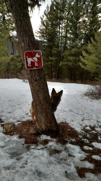 I Do What I Want. Part 70 (41 pics)