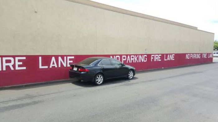 I Do What I Want. Part 70 (41 pics)