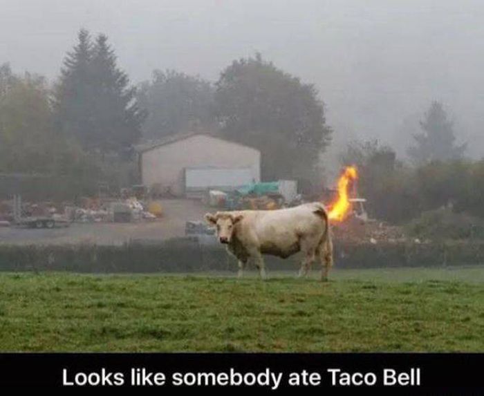 Memes That Will Help To Make Your Day More Amusing (30 pics)