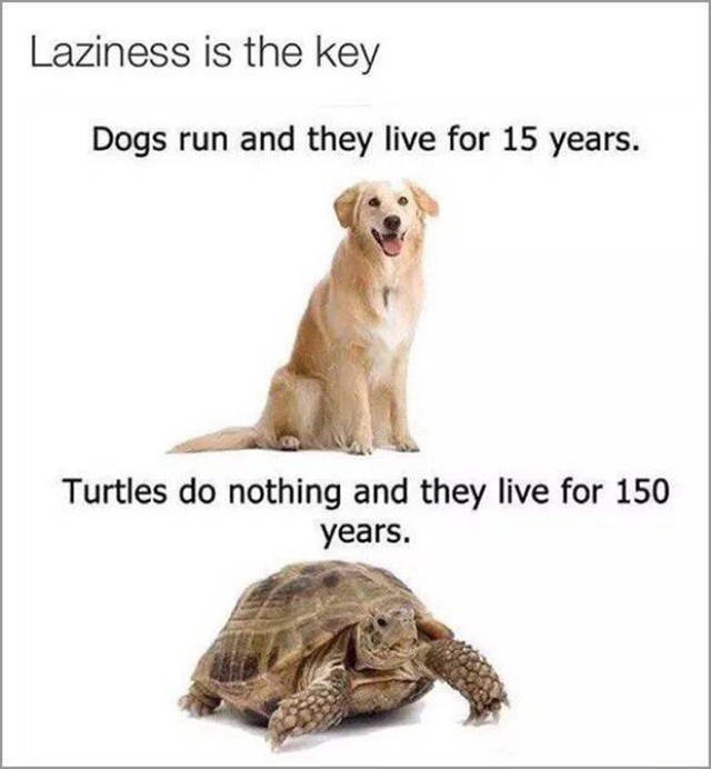Memes That Will Help To Make Your Day More Amusing (30 pics)
