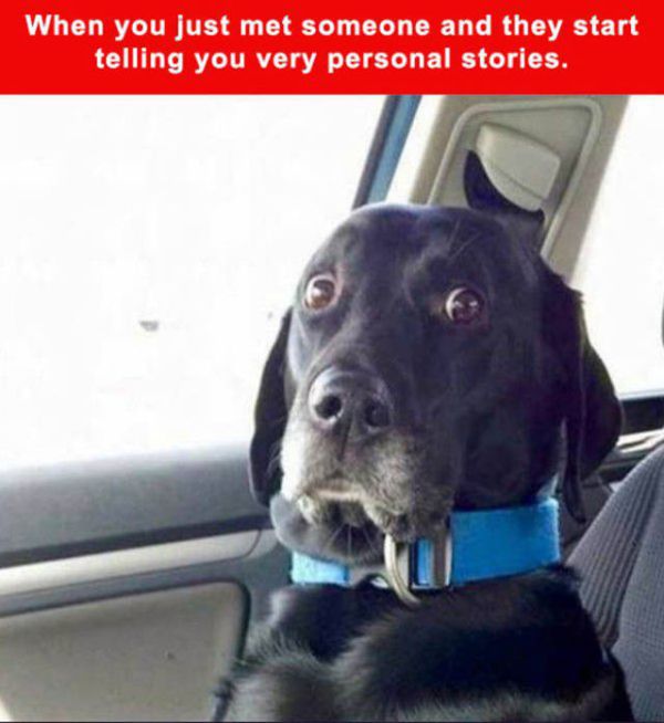 Memes That Will Help To Make Your Day More Amusing (30 pics)