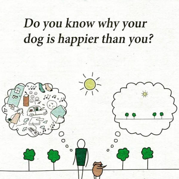 Buckle Up Because You're About To Crash Head First Into Some Truth (50 pics)