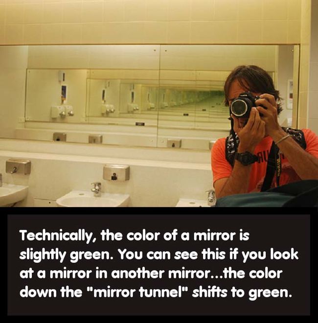 Let's Talk About What Makes Science And Nature So Awesome (46 pics)
