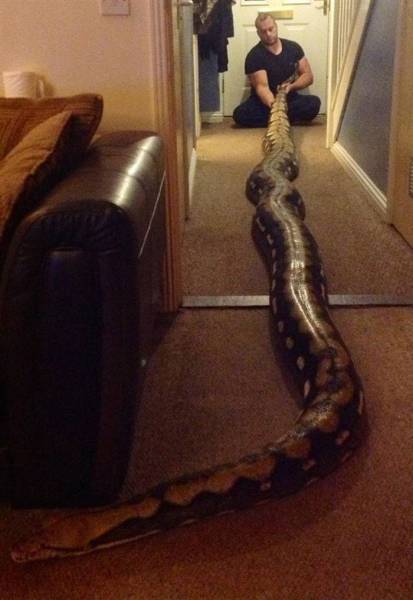 Take A Deep Breath And Get Ready To Say Nope (43 pics)