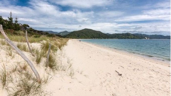 Crowdfunding Campaign Leads To The Purchase Of A New Zealand Beach (7 pics)
