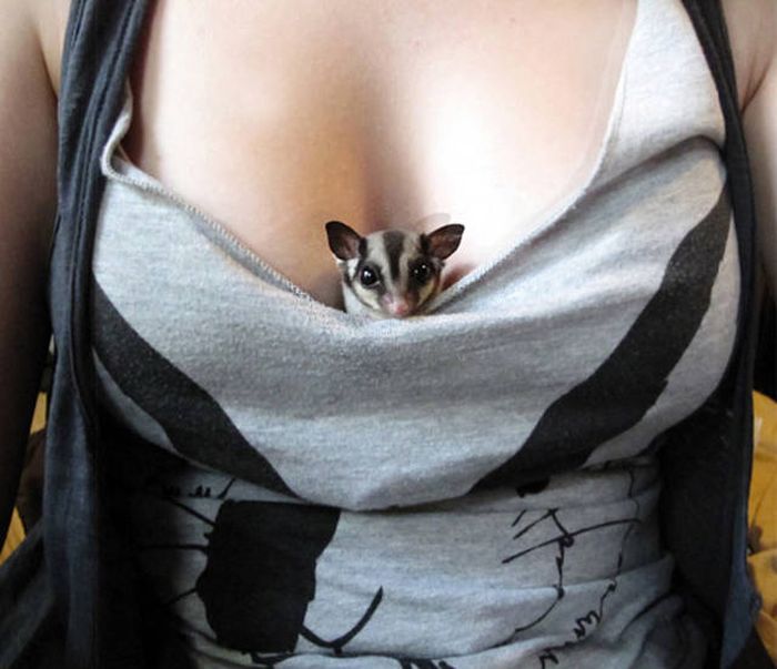 Babes Who Used Their Boobs For An Unexpected Purpose (44 pics)