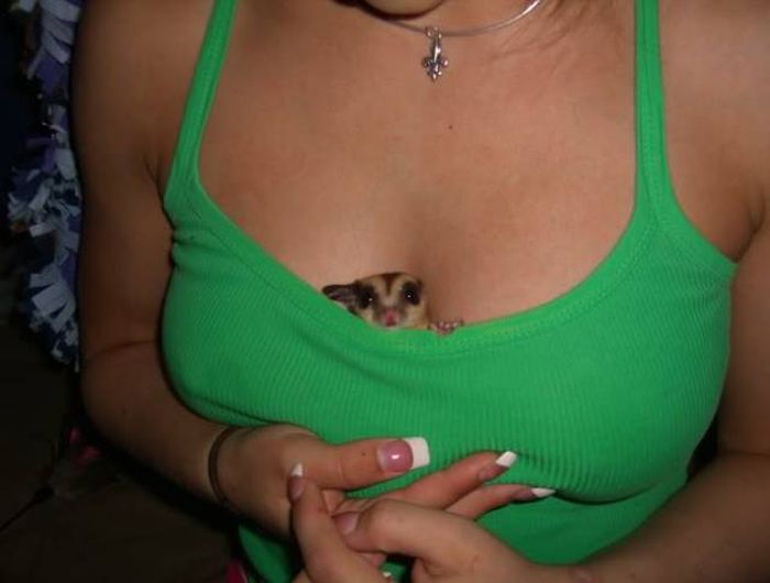 Babes Who Used Their Boobs For An Unexpected Purpose (44 pics)