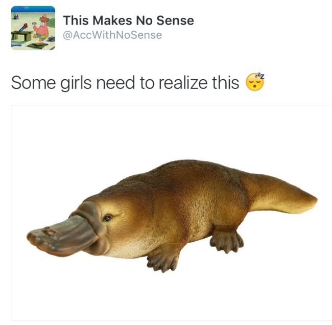 This Parody Twitter Account Really Lives Up To Its Name (27 pics)