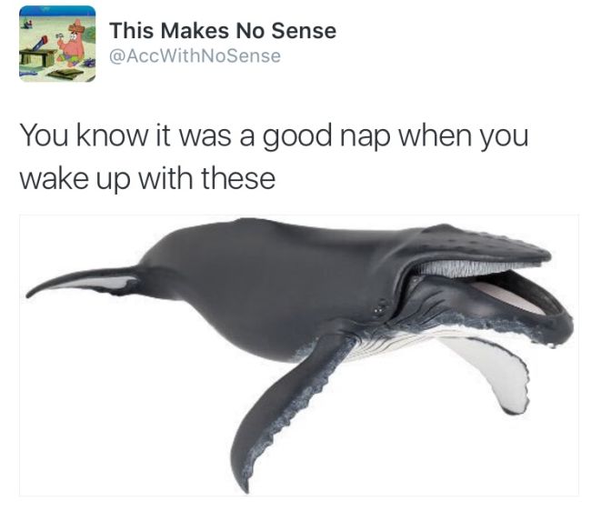 This Parody Twitter Account Really Lives Up To Its Name (27 pics)