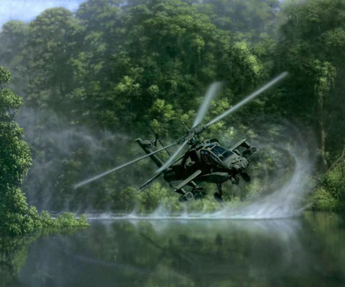 AH-64 Apache (35 pics)