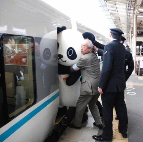 Unusual Occurrences That Could Only Happen In Japan (42 pics)
