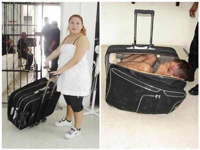 9 Times When People Failed To Smuggle Items Across Boarders (9 pics)