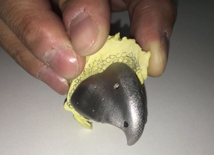 Parrot Gets A New Beak Thanks To A 3D Printer (14 pics)