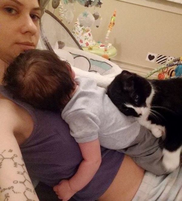 A Cat Has Been Protecting This Baby Human Since Before Birth (5 pics)