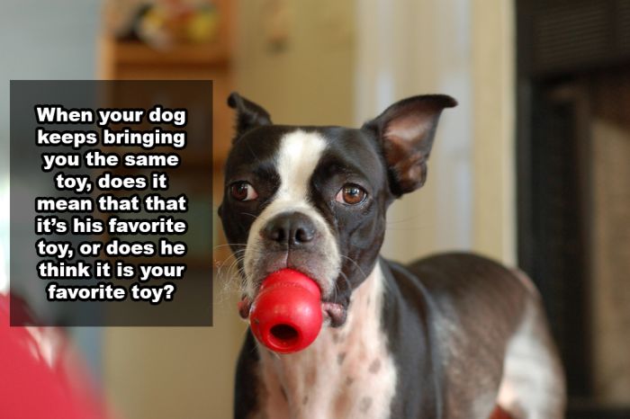 Shower Thoughts That Make More Sense Than They Should (25 pics)