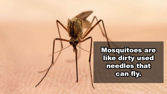 Shower Thoughts That Make More Sense Than They Should (25 pics)