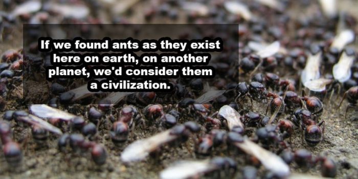 Shower Thoughts That Make More Sense Than They Should (25 pics)