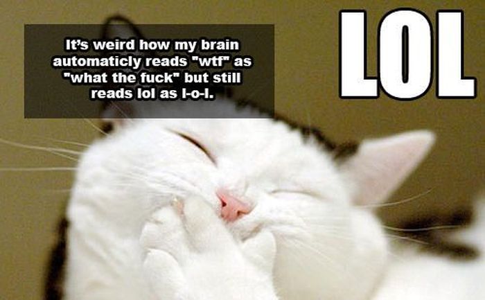 Shower Thoughts That Make More Sense Than They Should (25 pics)