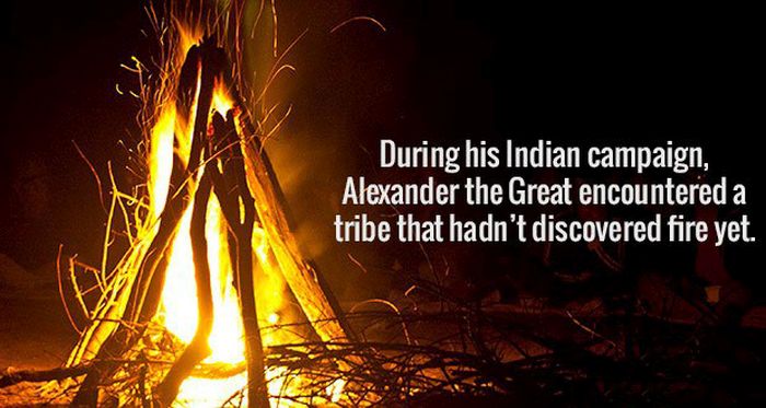Clear Your Mind Because It's Time To Load It Up With Fun Facts (22 pics)