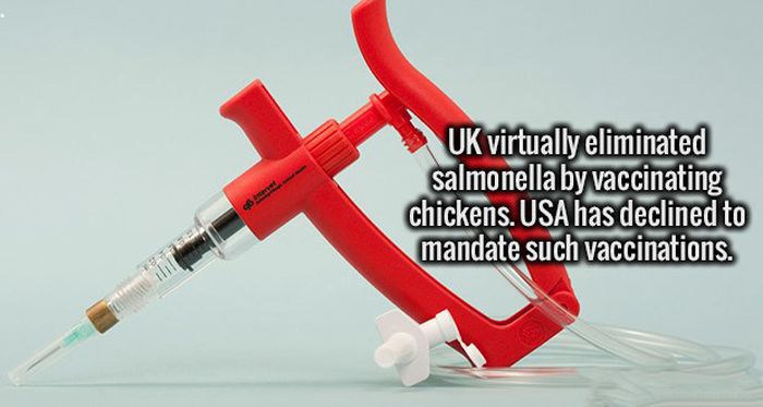 Clear Your Mind Because It's Time To Load It Up With Fun Facts (22 pics)