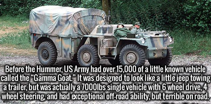 Clear Your Mind Because It's Time To Load It Up With Fun Facts (22 pics)