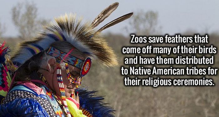 Clear Your Mind Because It's Time To Load It Up With Fun Facts (22 pics)
