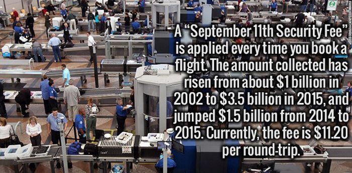 Help Yourself Get Smarter By Learning These Interesting Facts (20 pics)