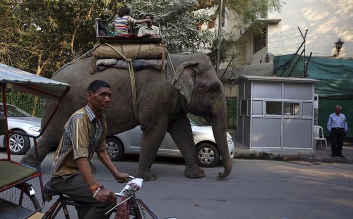 Get A Dose Of Daily Life In India (34 pics)