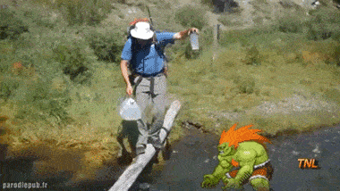 Street Fighter Characters Cause Trouble In The Real World (15 gifs)