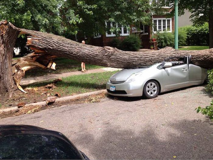 If Your Day Looks Like This, It's Completely Ruined (46 pics)