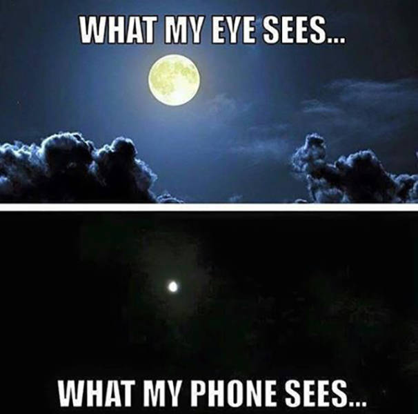 If Your Day Looks Like This, It's Completely Ruined (46 pics)